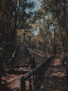 How Fintech helps you invest smarter